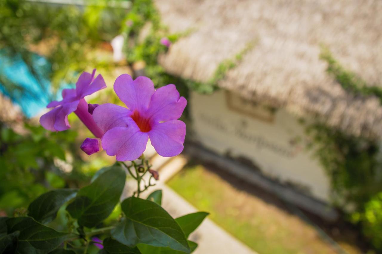 Hotel Villas Mariposas Atlixco Kültér fotó