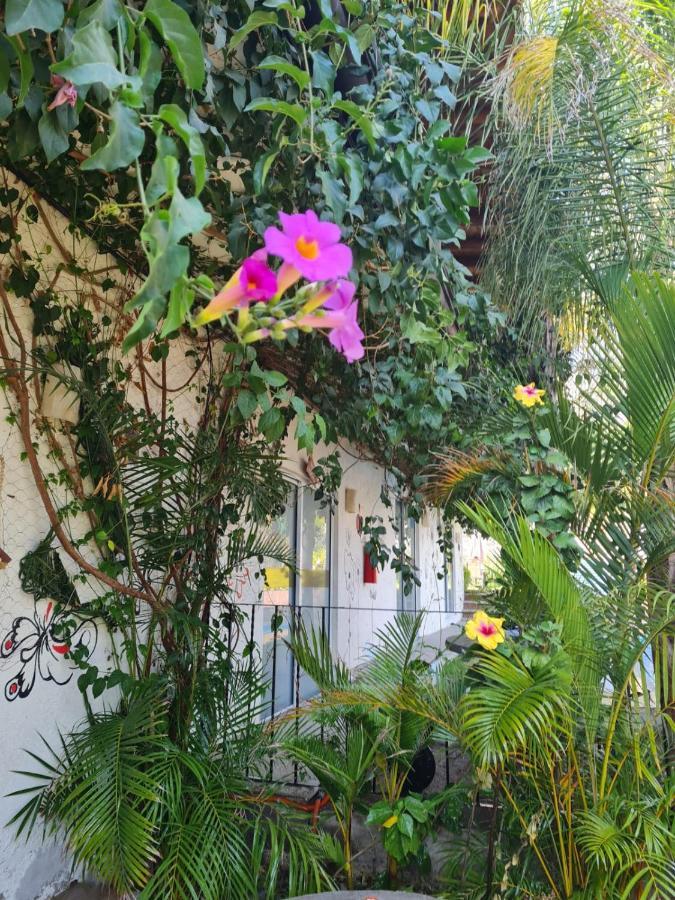 Hotel Villas Mariposas Atlixco Kültér fotó