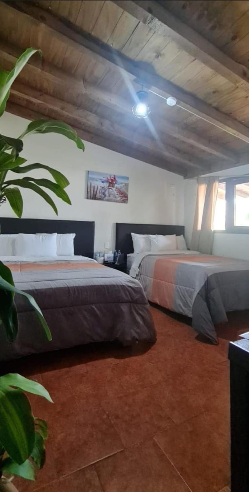 Hotel Villas Mariposas Atlixco Kültér fotó